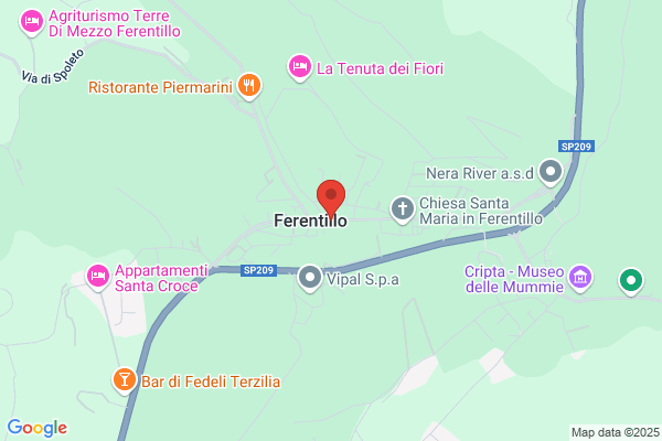Festuccia Fabrizio (Dr.)