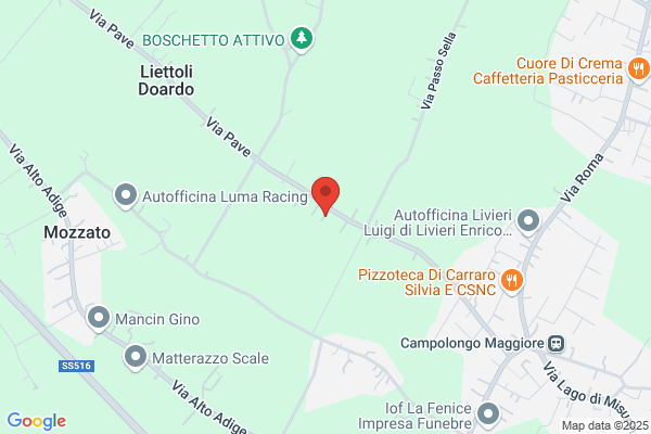 Impresa Elettrica Nigris Dante Di Luca E Luigi Nigris (S.N.C.)