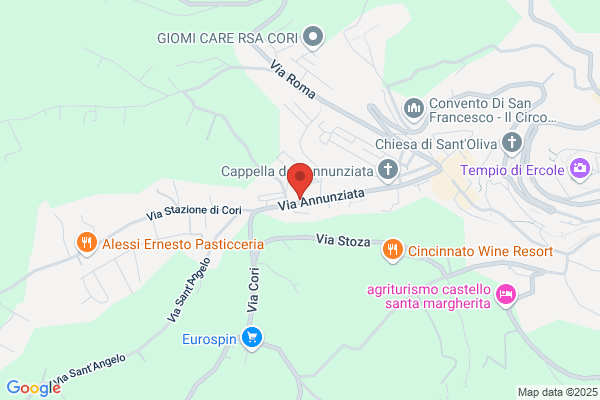 Mancini gino