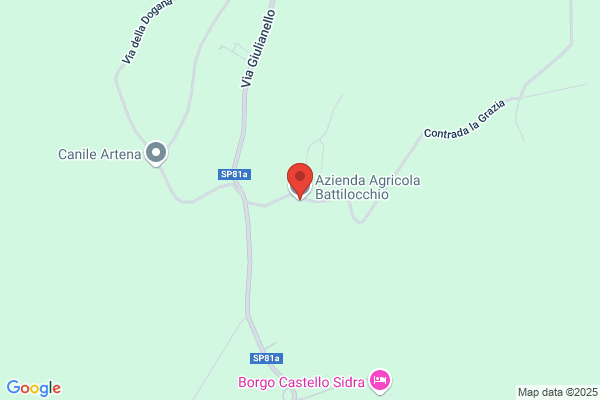 Riccitelli ida