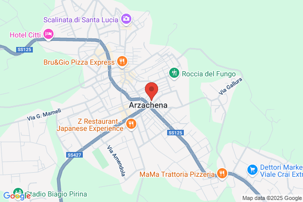 ITALIANA ASSICURAZIONI Arzachena