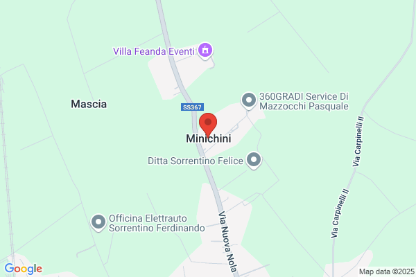 Minichino maria