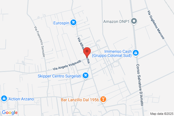Rex S.N.C. Di Giuseppe Mancini E C.