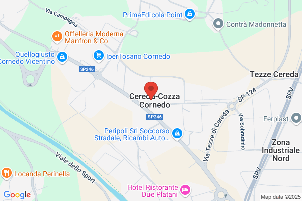 M.I.S.A. - Meccaniche Idroelettriche Service Arzignano S.R.L.