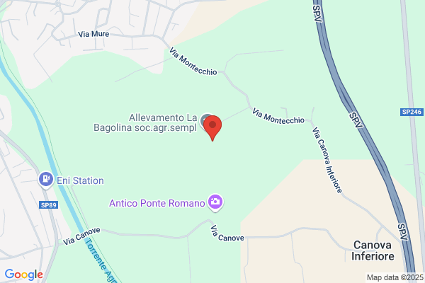 S.I.T. Societa Igiene Territorio S.P.A.