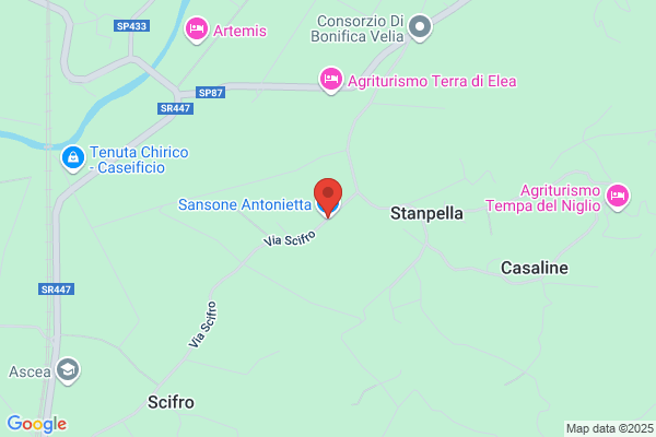 Sansone angelo (Avv.)