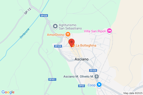 Provvedi claudio