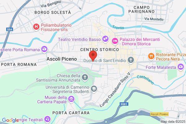 Vespa piera
