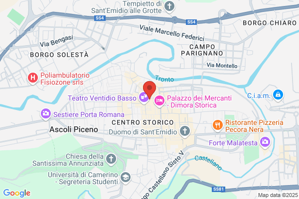 Federazione Pugilistica Italiana