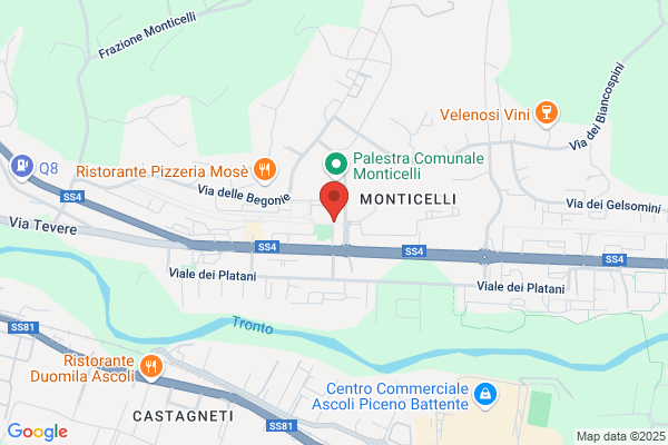 Travaglia enzo
