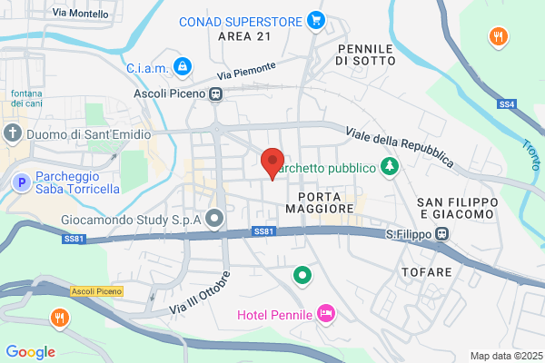Service Srl