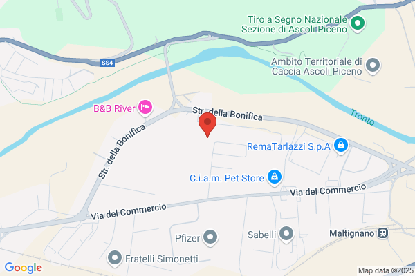 Seghetti domenico (Geom.)