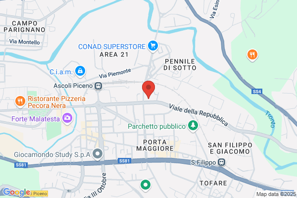 Centro Diagnostico Piceno