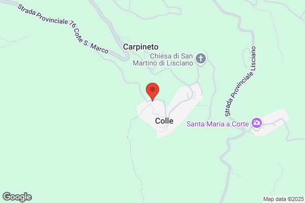 Agriturismo Il Castagneto
