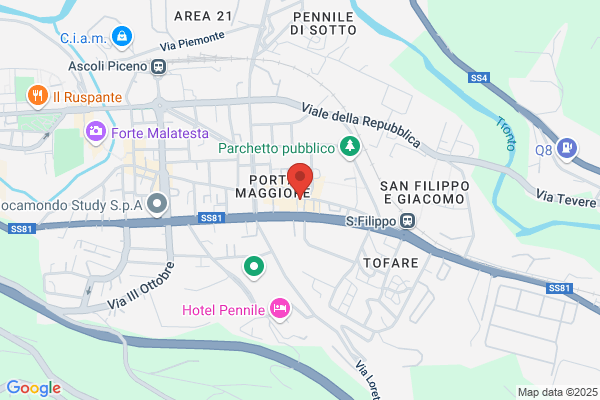 Nuova Bustacchini Sport Srl