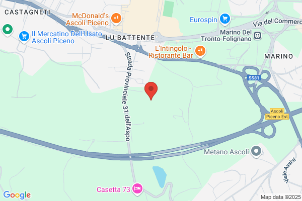 Consorzio Autotrasporti Piceni