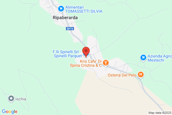 Spinelli Trasporti Srl
