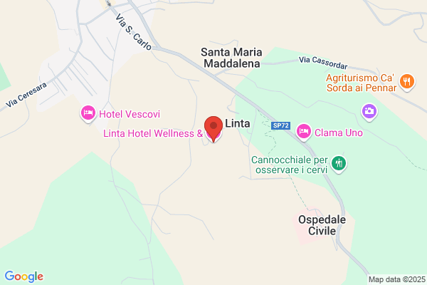 Linta Park Hotel (S.R.L.)