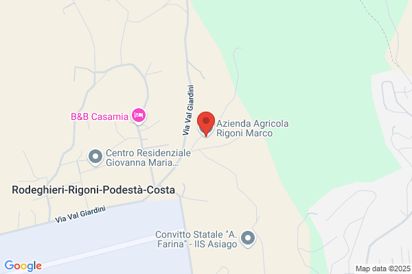 Rigoni maurizio