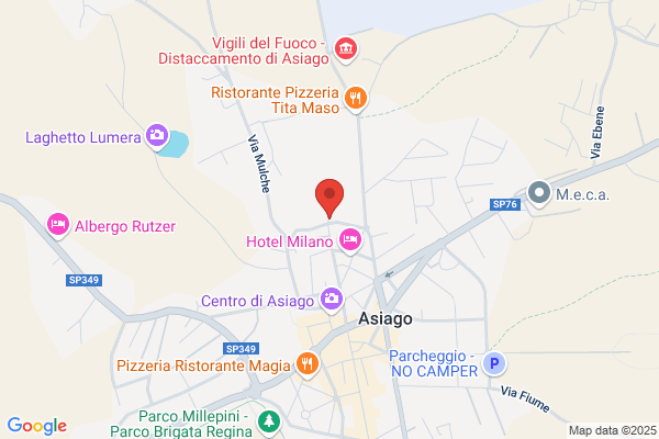 Pizzeria Al Caminetto