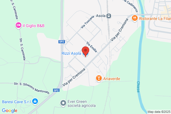 Rizzi Fogliata marina