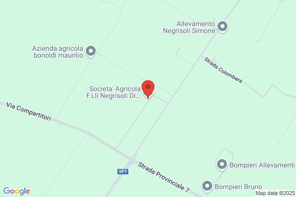 Negrisoli sergio