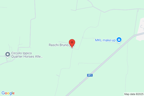 Raschi bruno
