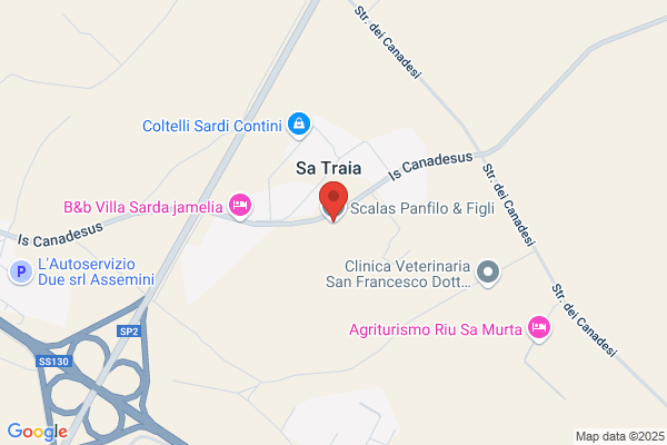 Scalas Delogu luigi
