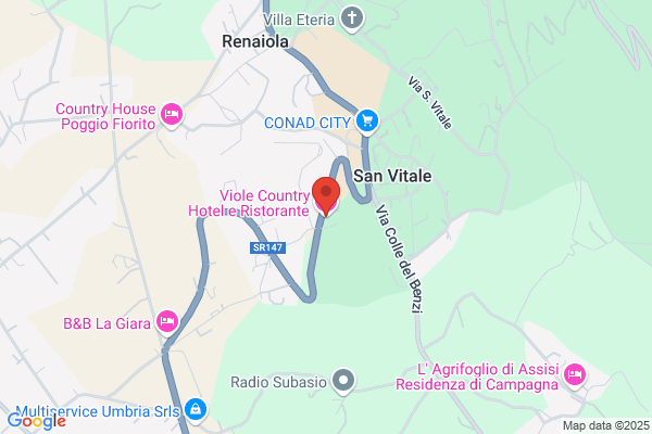 Hotel Viole Snc