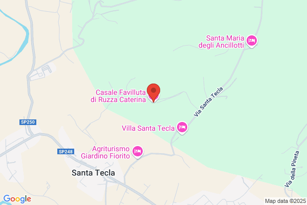 Favilluta Di Di Maio Lucia
