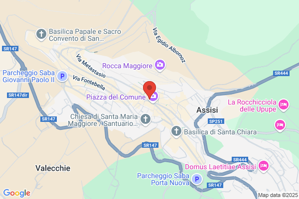 Minerva Assisi Soc.Cooperativa Arl