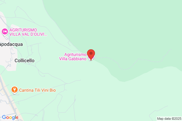 Azienda Agrituristica "villa Gabbiano" Di Fiumi Sermattei cristiano