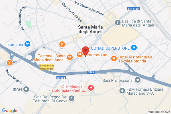 Centro Internazionale Per La Pace Fra I