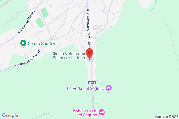 Ambulatorio Veterinario Triangolo Lariano Del Dott. Mario Tomba