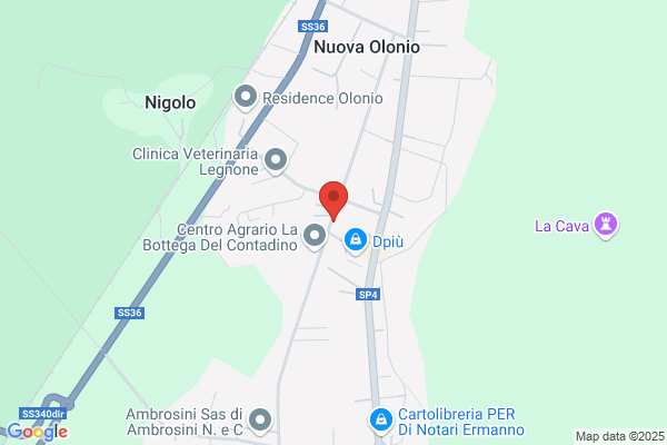 Gianoni (S.R.L.)