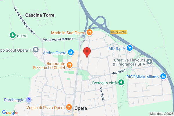 Impresa Di Pulizia Primavera