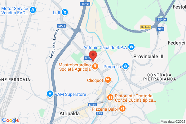 Ristorante E Pizzeria Da Vincenzo Di Iovine gaetano E gennaro snc