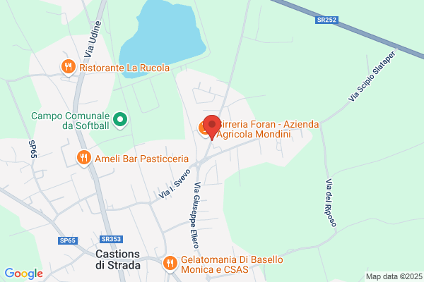 Mondino luciano