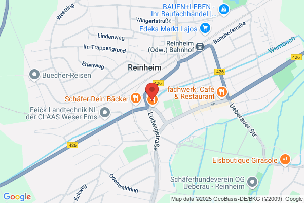 Sparta antonino (Dr.)