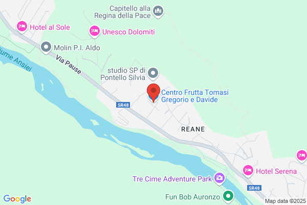 Tomasi Gregorio e Davide Frutta e Verdura