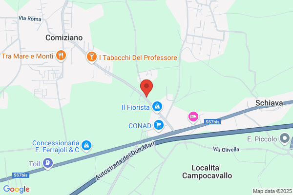 Ercolino Petroli Srl