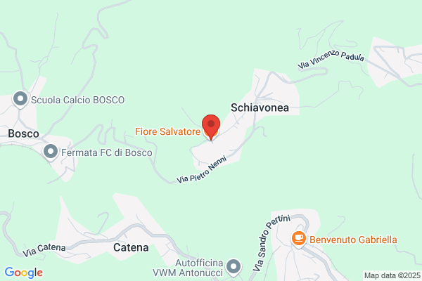 Fiore Salvatore