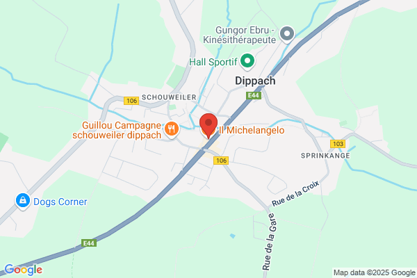 Il Michelangelo Srl
