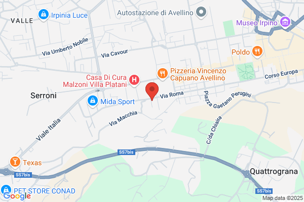 F.D.F. Sud Assicurazioni Srl