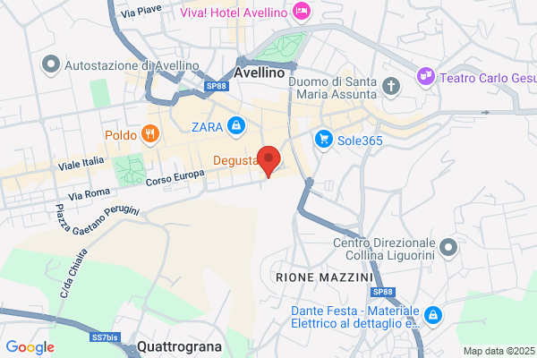 Federazione I.Giuoco Calcio