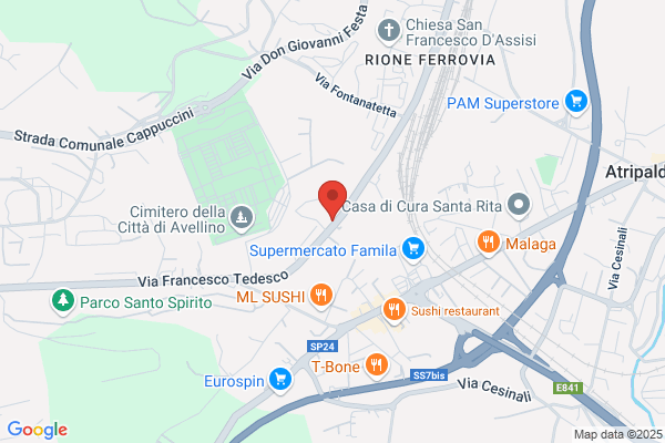 Roca carmine (Rag.)