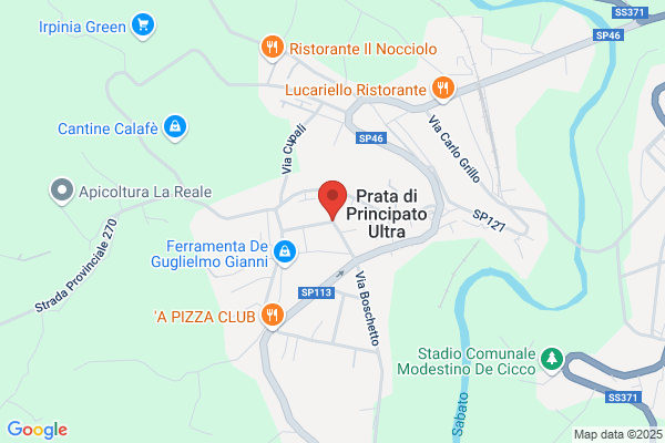Merola nicola (Dr.)