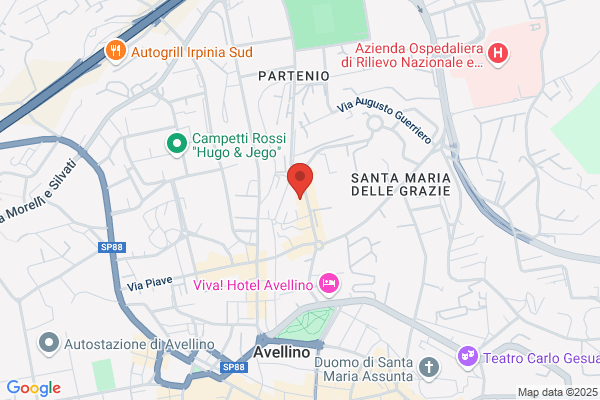 Assistenza Vaillant Professional Service