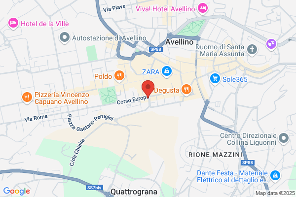 Ordine Dei Dottori Commercialisti