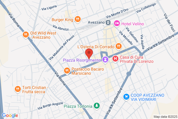 Maps Investigazioni